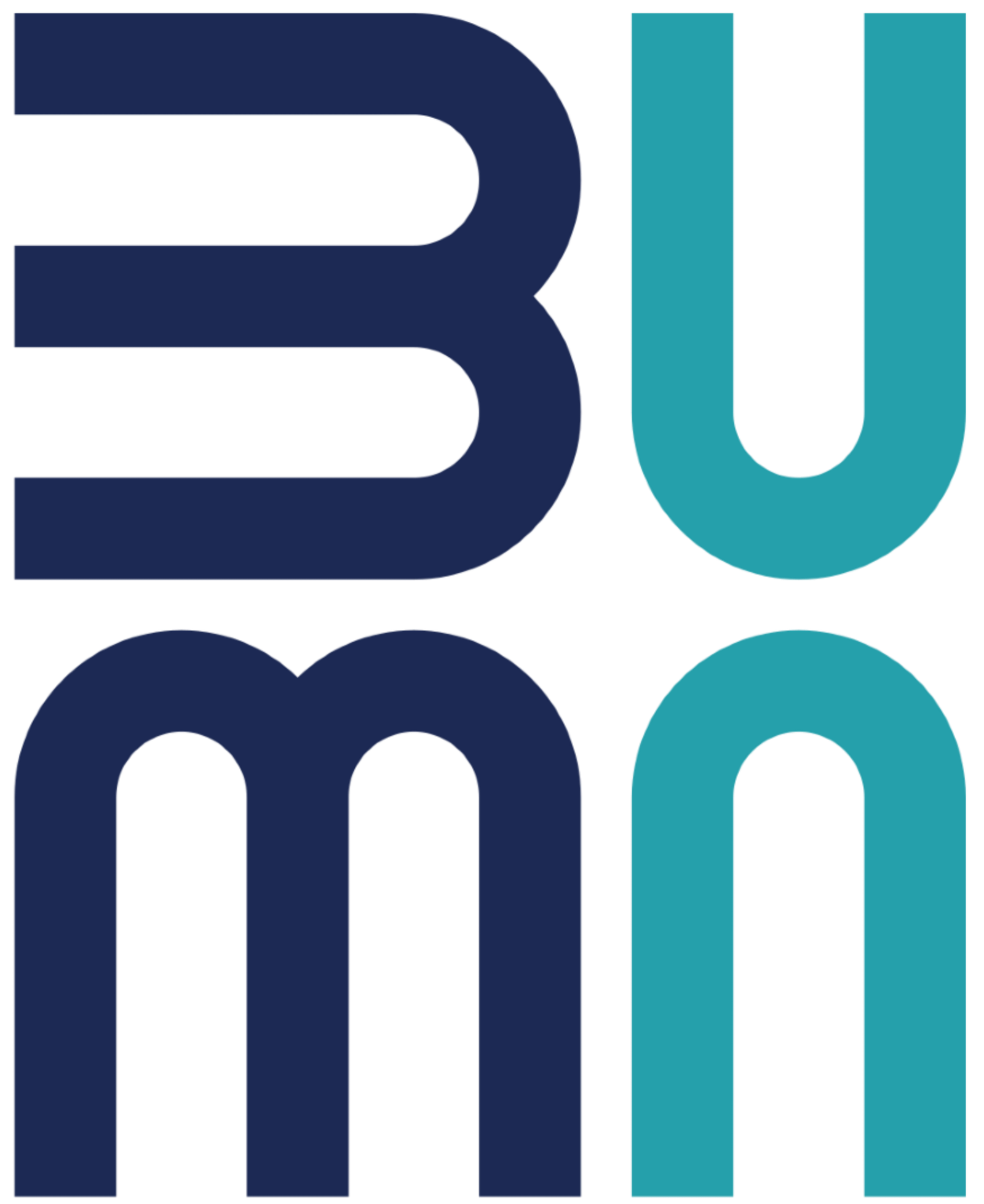 BUMN